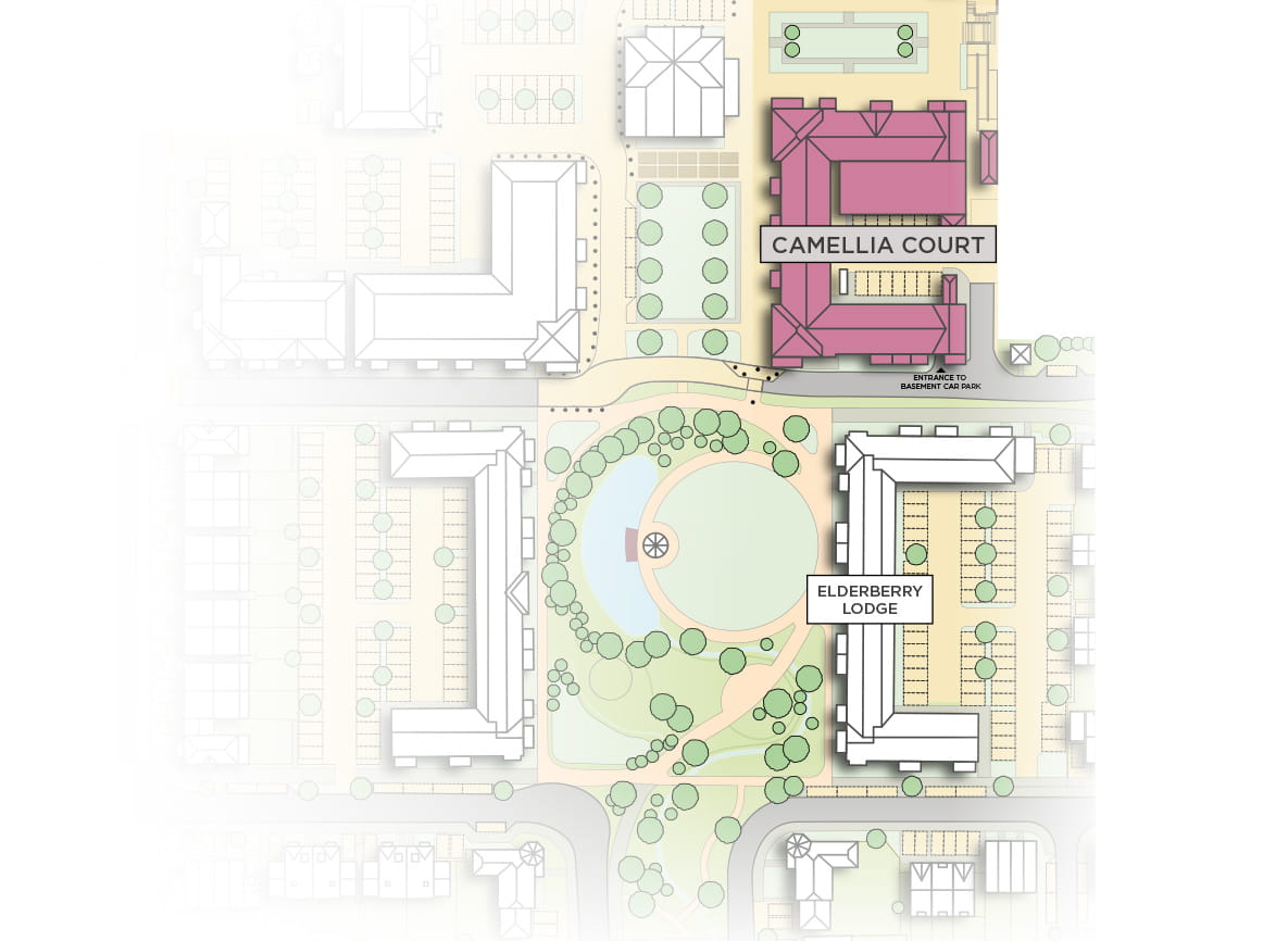 An illustration of the Camellia Court site Plan