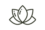 Graphic illustration of a lotus leaf, signifying relaxation, spa retreat