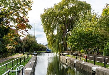 Canal with greenery on both sides of the water
