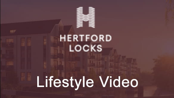 Lifestyle Video