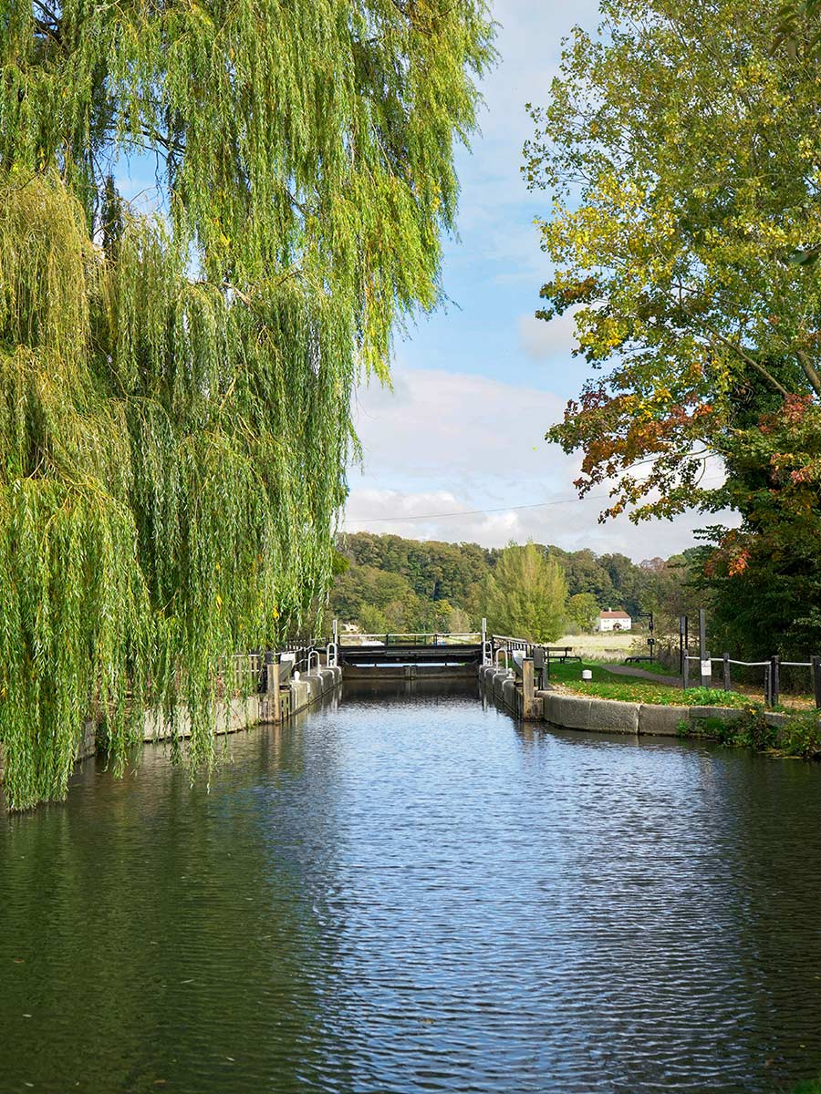 Hertford local area, beautiful river surrounded by greenery