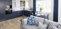 Dareham Court kitchen, living and dining area with blue design kitchen