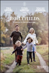 Hollyfields, Local Area Guide, Thumbnail
