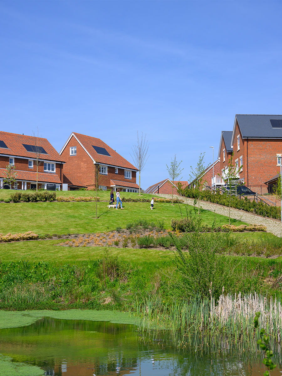 Hollyfields park and pond