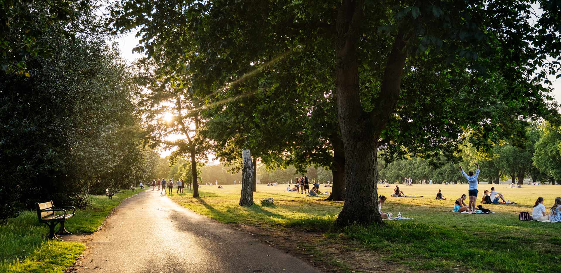 CGI of sunlight breaking through a tall, leafy tree in a parkS