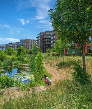 Berkeley, Kidbrooke Village