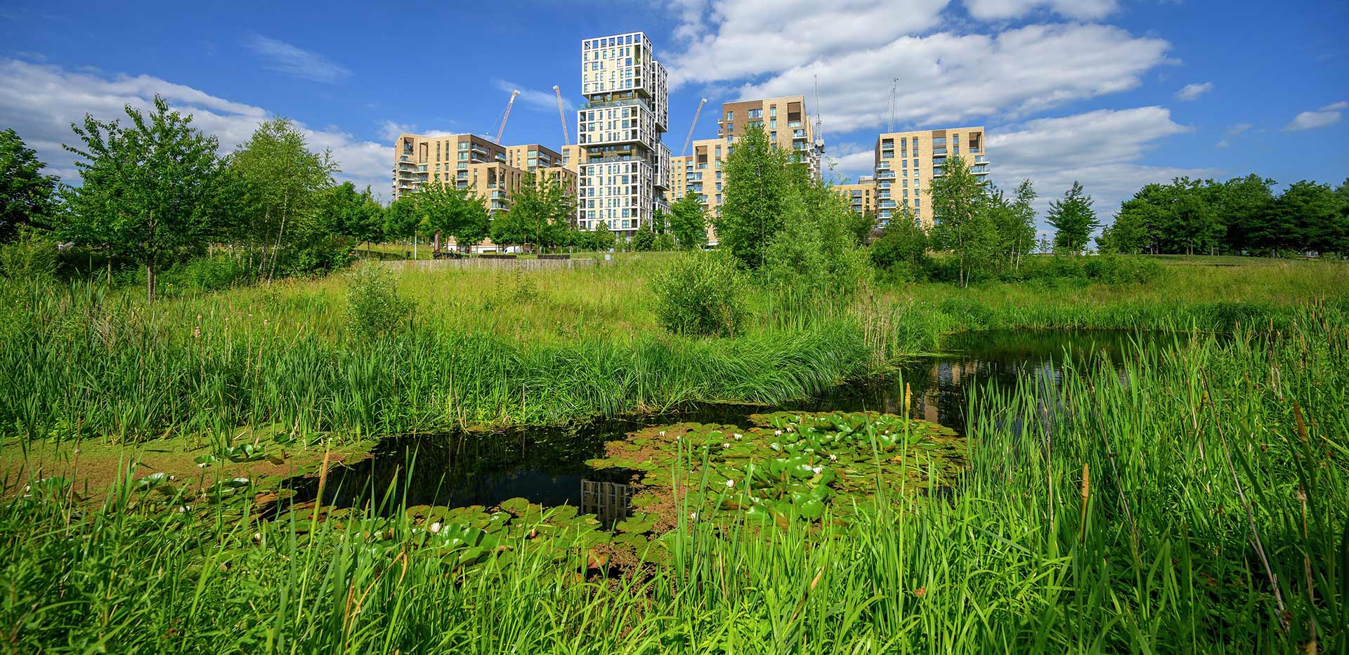 Berkeley, Kidbrooke Village, Parkland