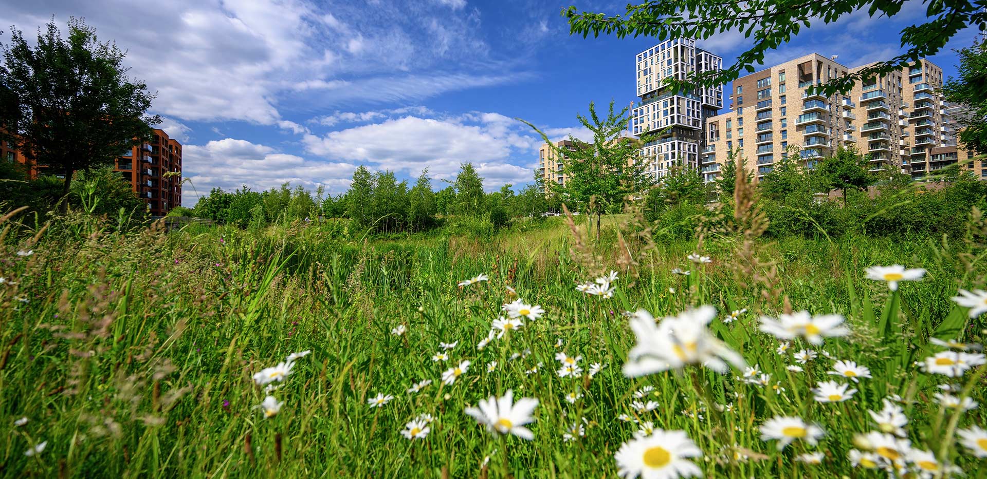 Berkeley, Kidbrooke Village, Parkland
