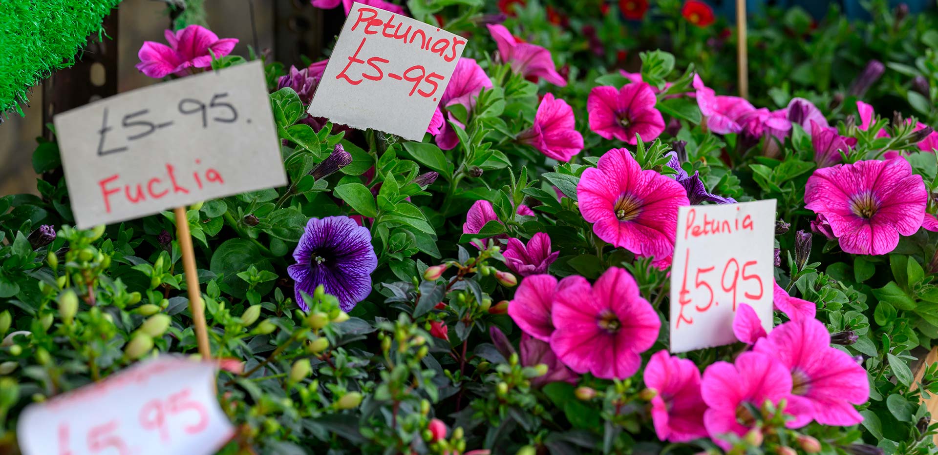 Blackheath Village florist