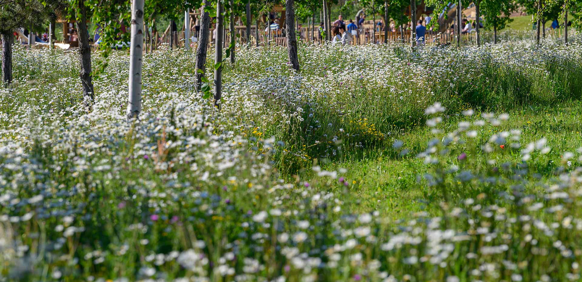 Kidbrooke Village Parkland