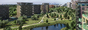 Kidbrooke Village