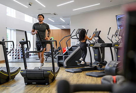 Gym with cardio equipment