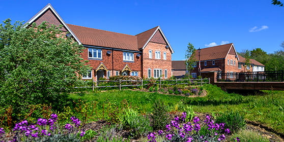 An image of houses at Leighwood Fields with colourful flowers and vast green garden space
