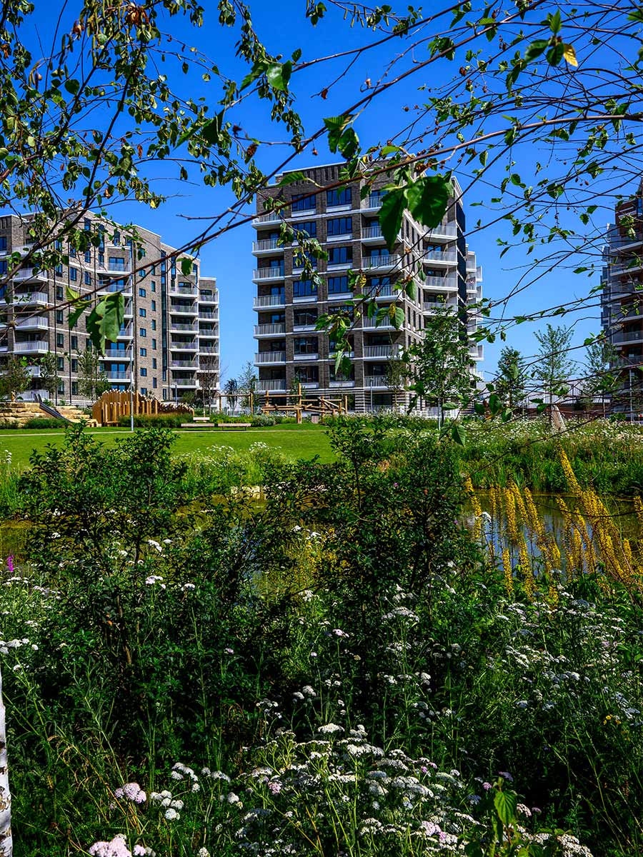 CGI of meadow style greenery in foreground with new build block of flats in background.