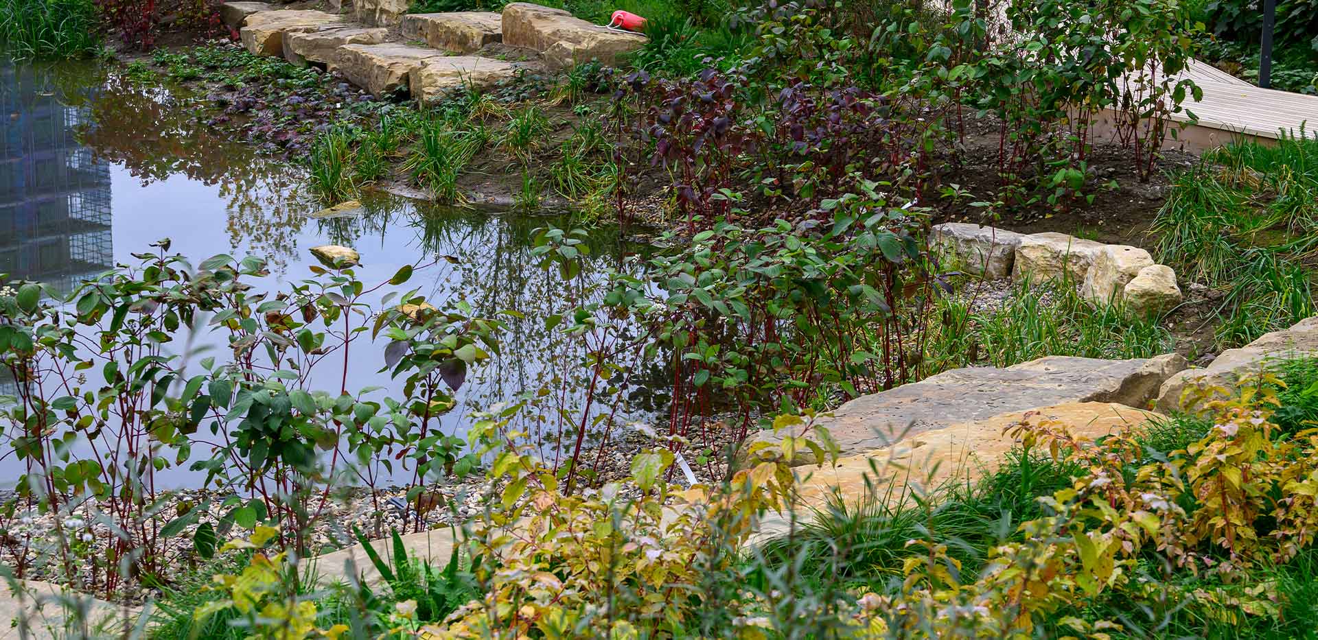 Berkeley, Lombard Square, Exterior Image