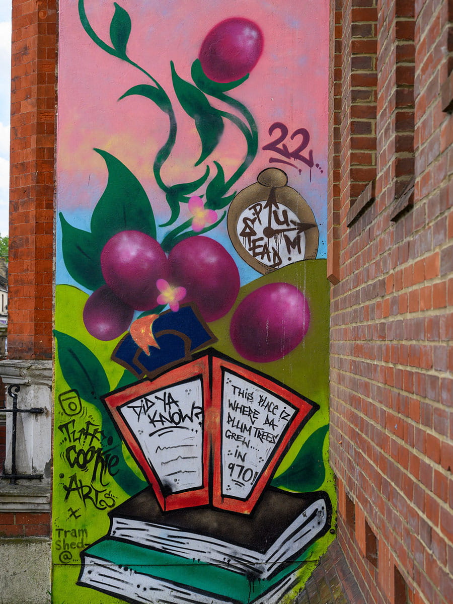 An image of the Plumstead local area