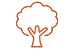 Graphic illustration of a tree