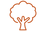 Tree icon