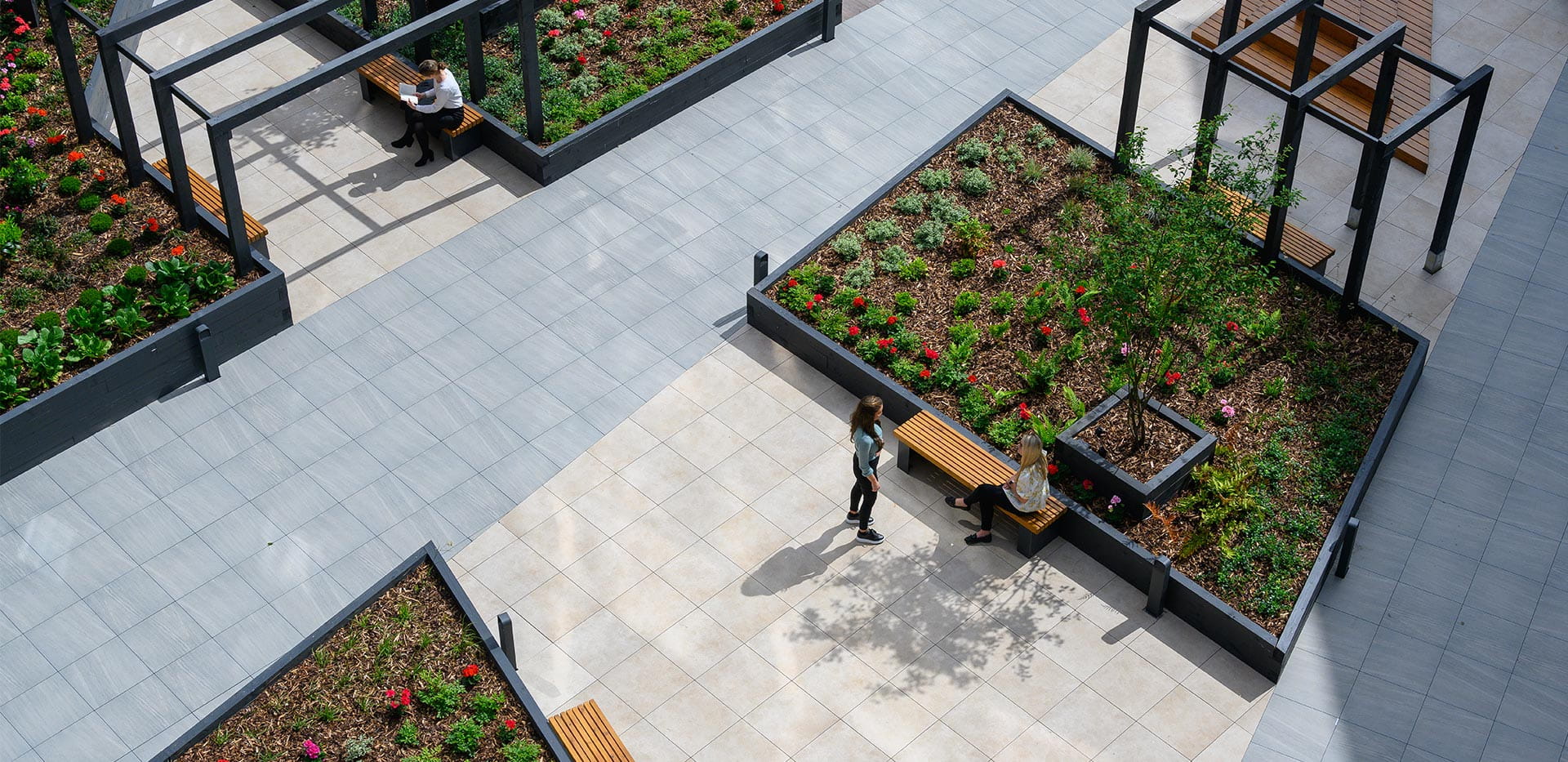 Berkeley, Lumina, Exterior