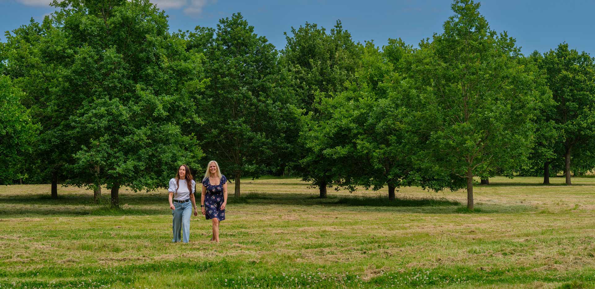 An image of the Oakhill Country Park