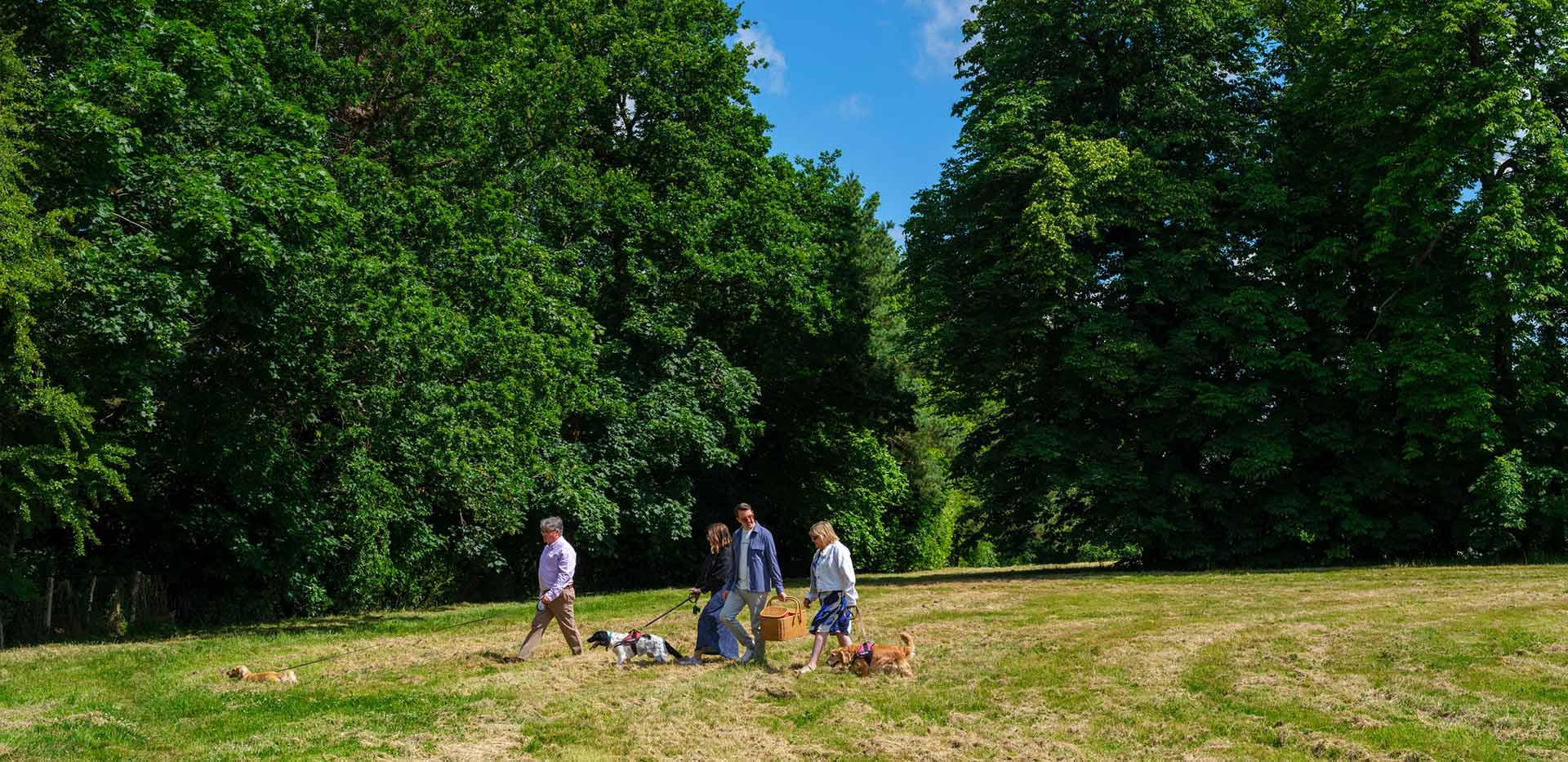 An image of the Oakhill Country Park