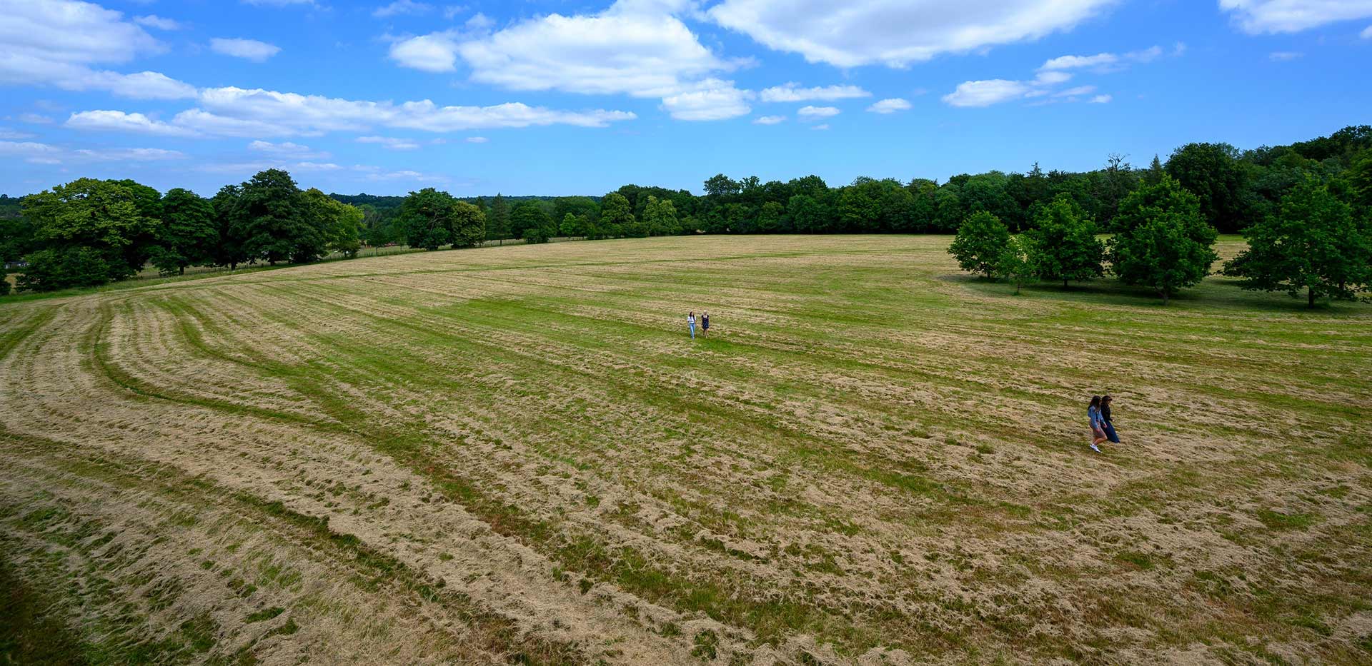 An image of the Oakhill Country Park