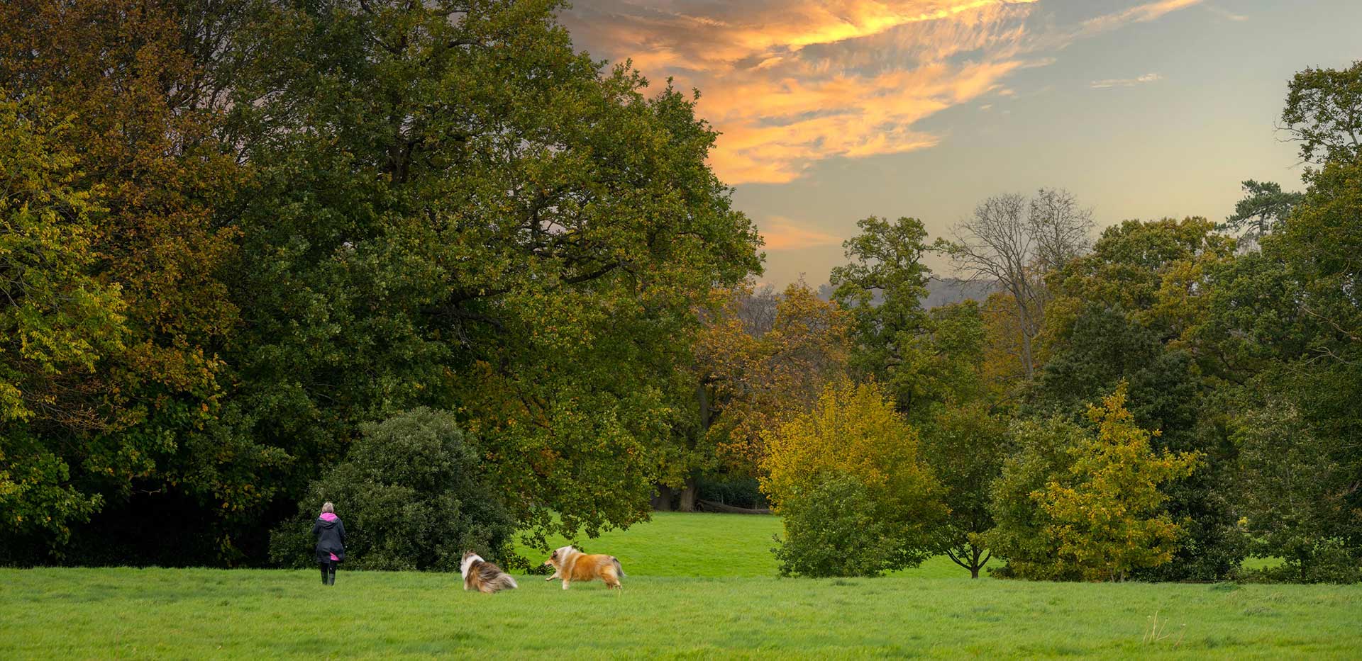 An image of the Oakhill Country Park