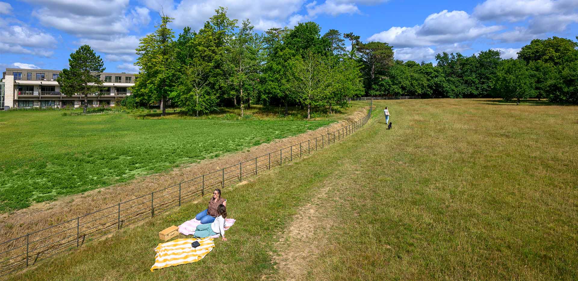 An image of the Country Park with a view of Oakhill in the background