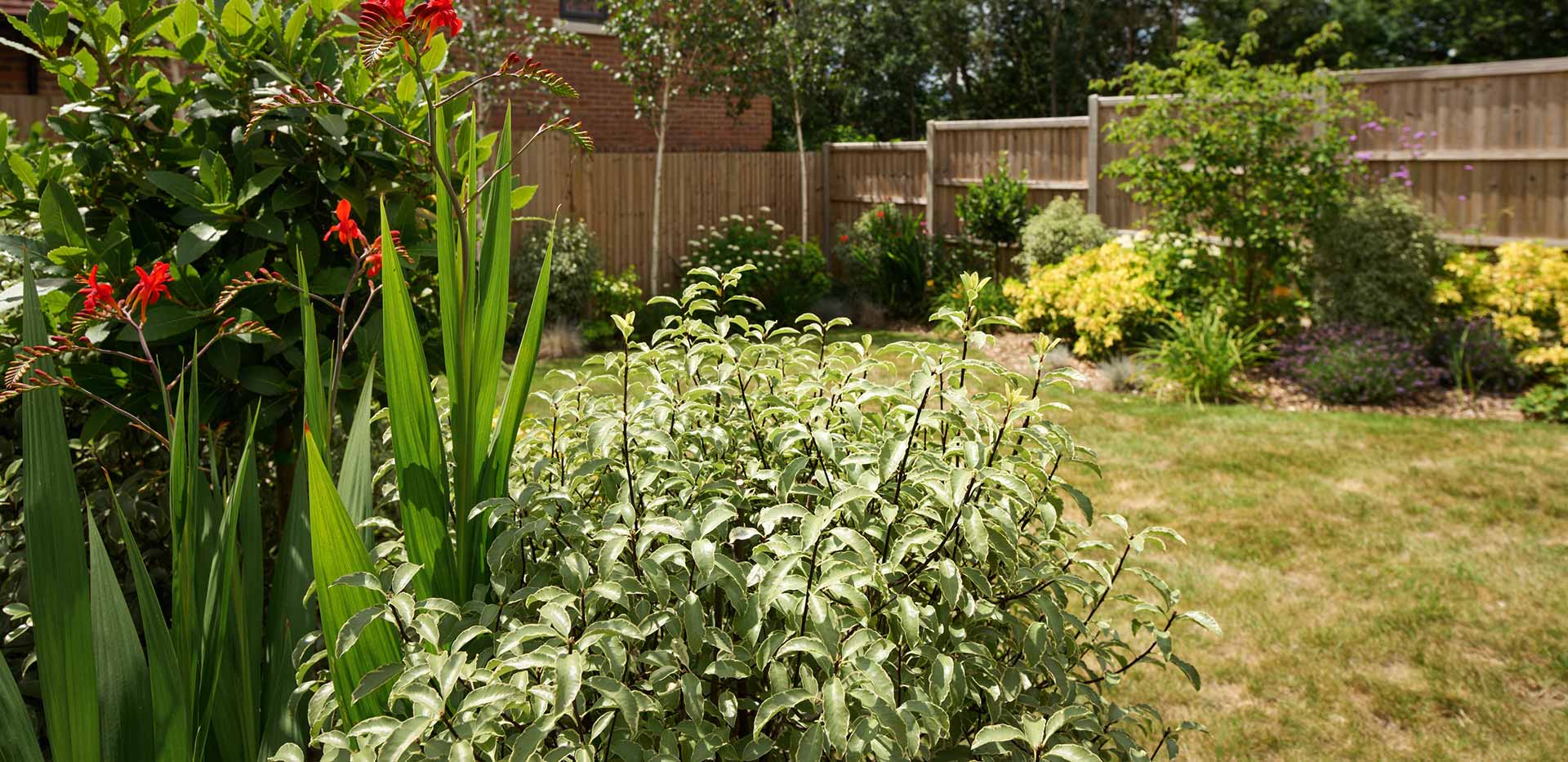 An image of the Garden at Oakhill Copse