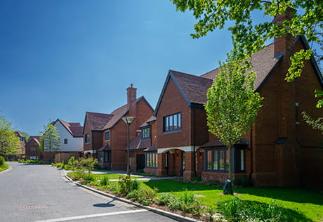 Oakhill Copse Header Image