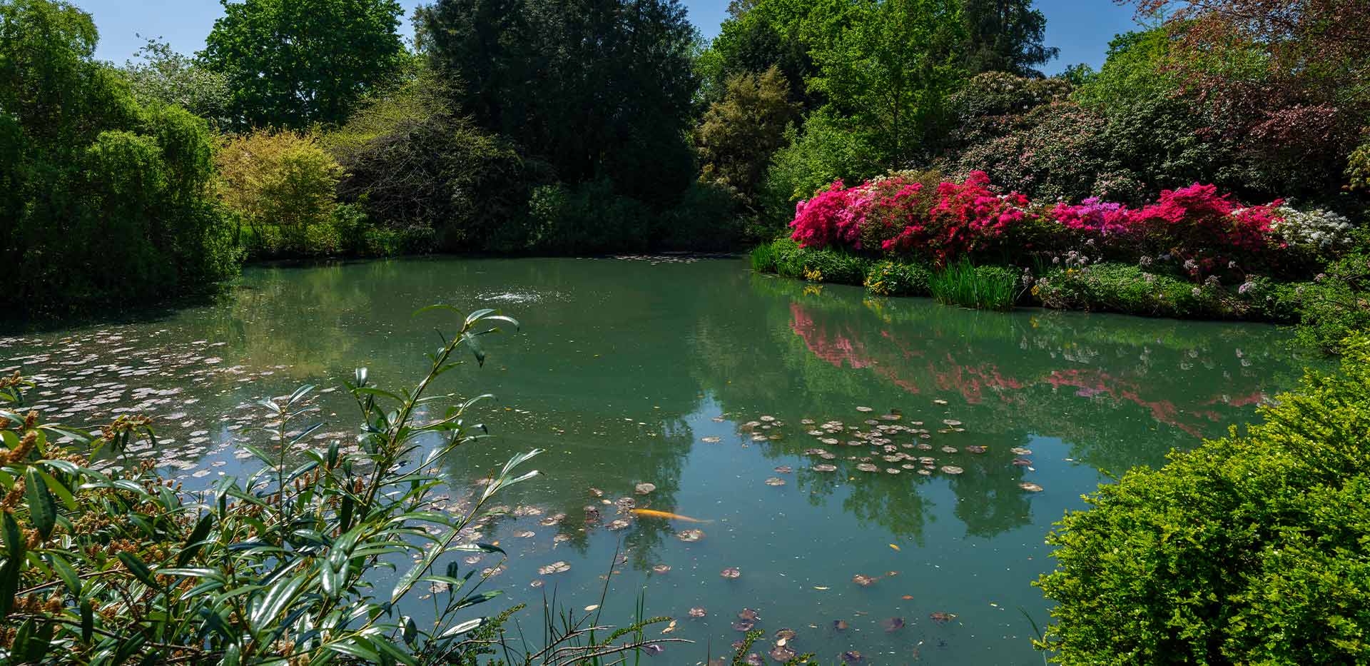An exterior image of Oakhill House at Oakhill
