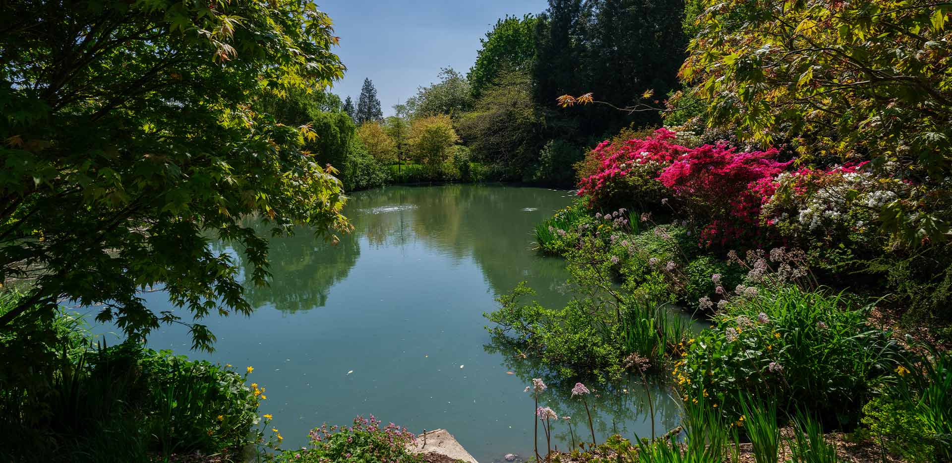 An exterior image of Oakhill House at Oakhill