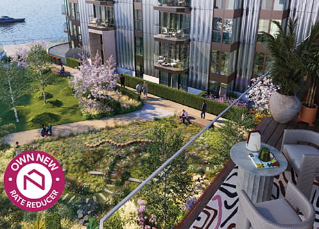 Own New at Galley Wharf