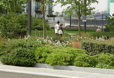 Community walking in Maribor Park