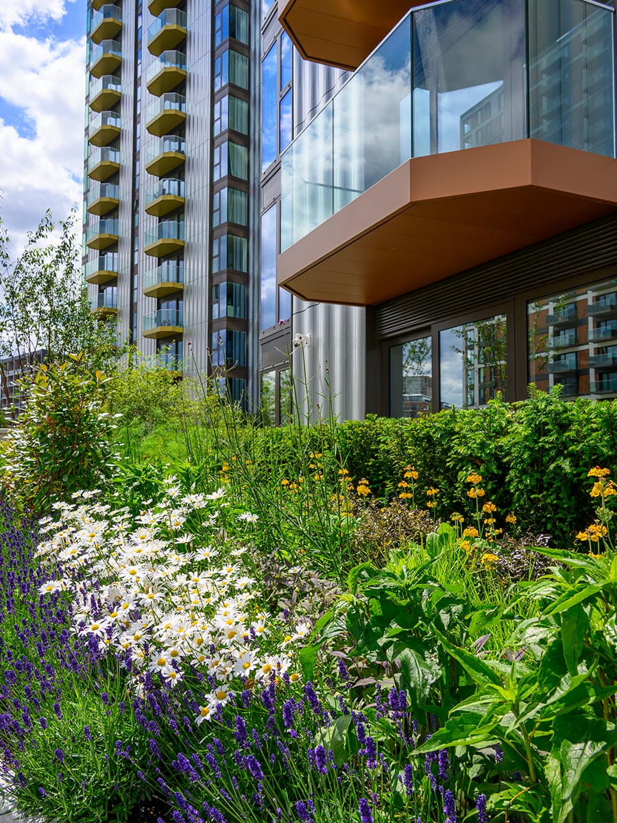 Royal Arsenal Riverside, West Quay Gardens