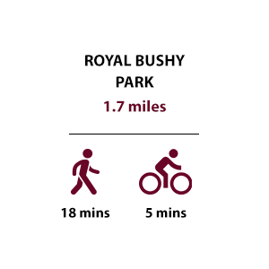 Royal Bushy Park