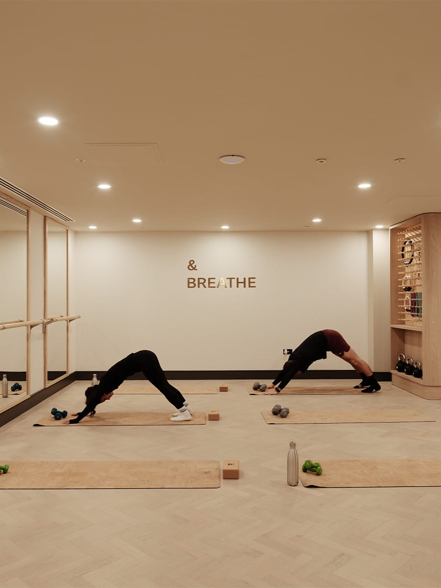 Silkstream, Interior, Gym