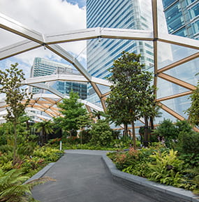 Crossrail Place Garden