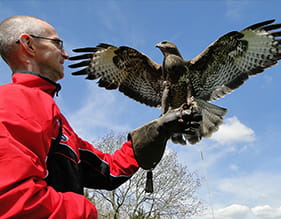 Feathers and Fur Falconry Centre