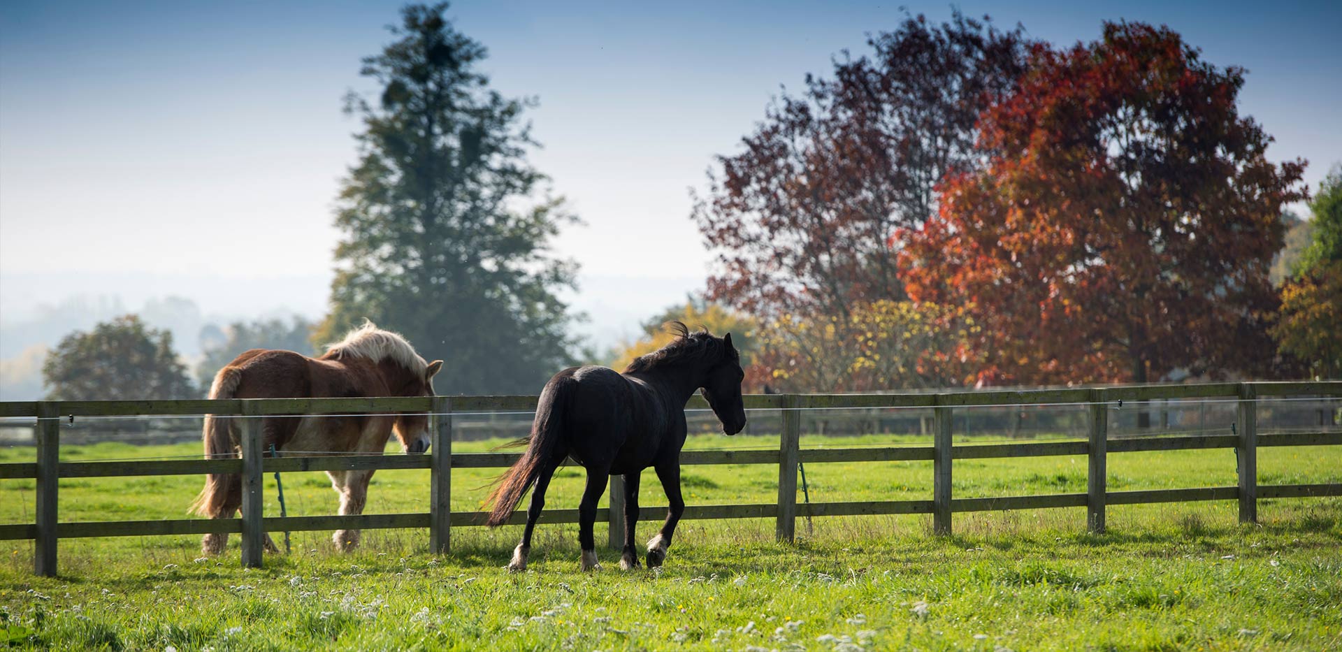 An image of the Local Area around Spring Hill