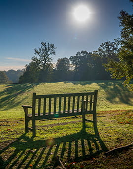 An image of a bench under the sun at Sunningdale Park