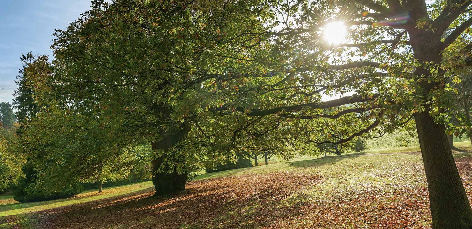 Berkeley, Sunningdale Park, Exterior