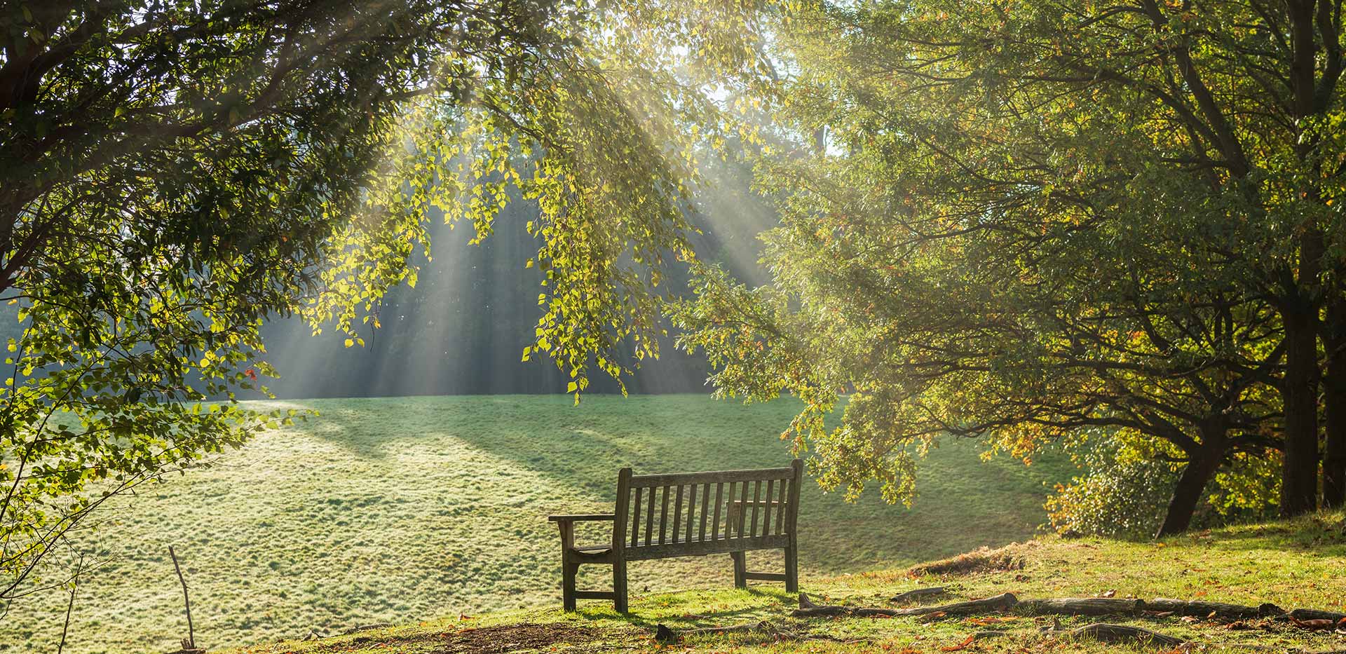 Berkeley, Sunningdale Park, Exterior