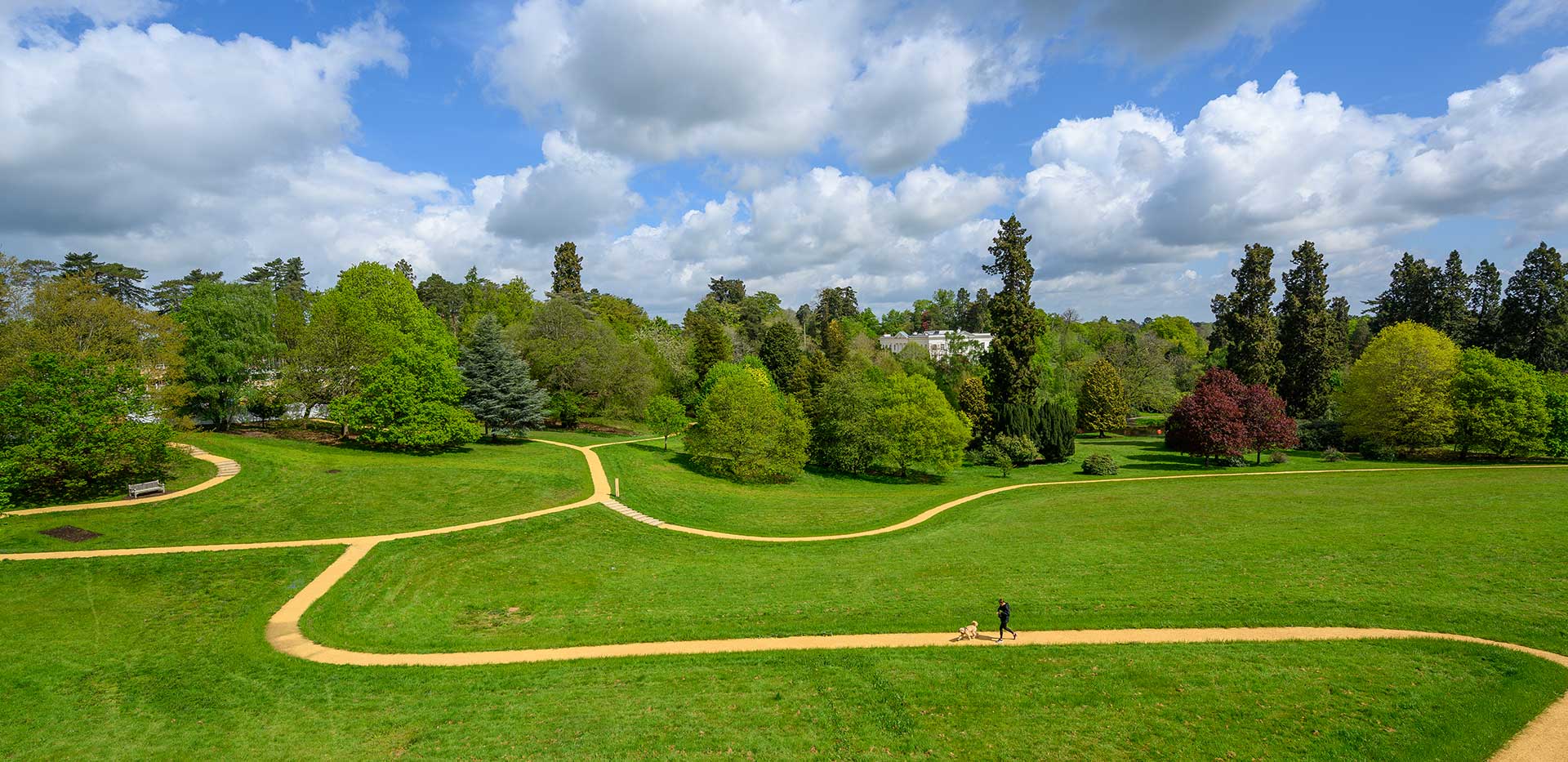 Sunningdale Park - Exterior land