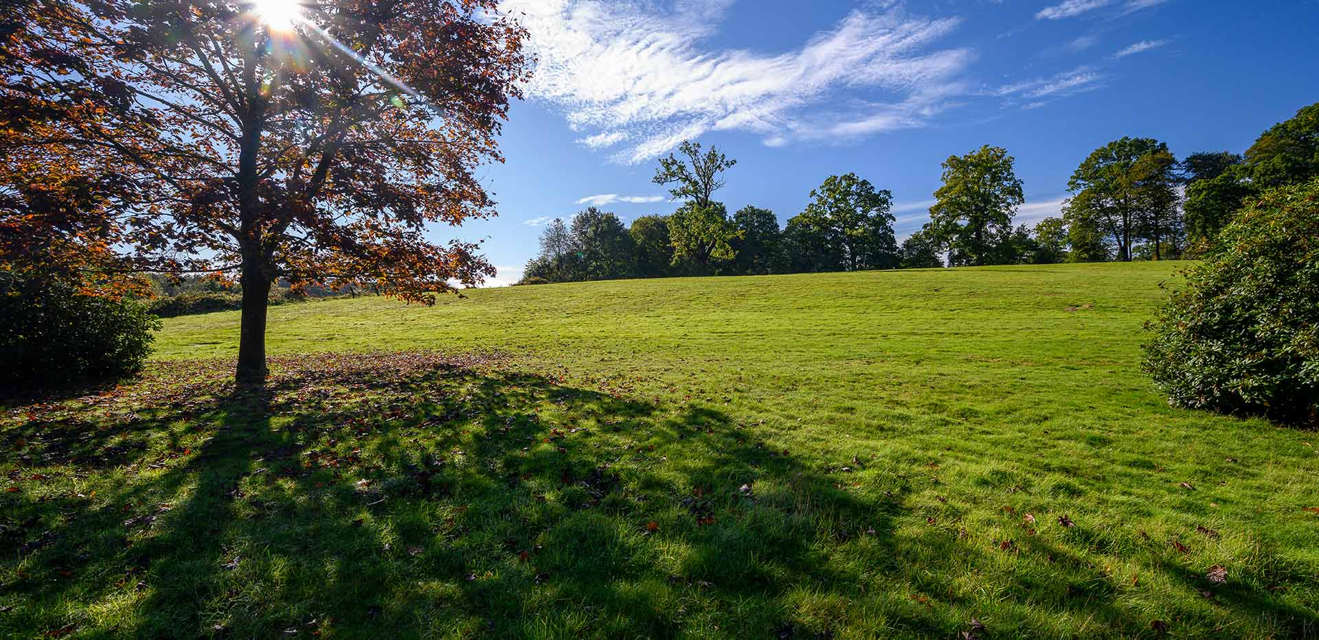Sunningdale Park - Exterior land