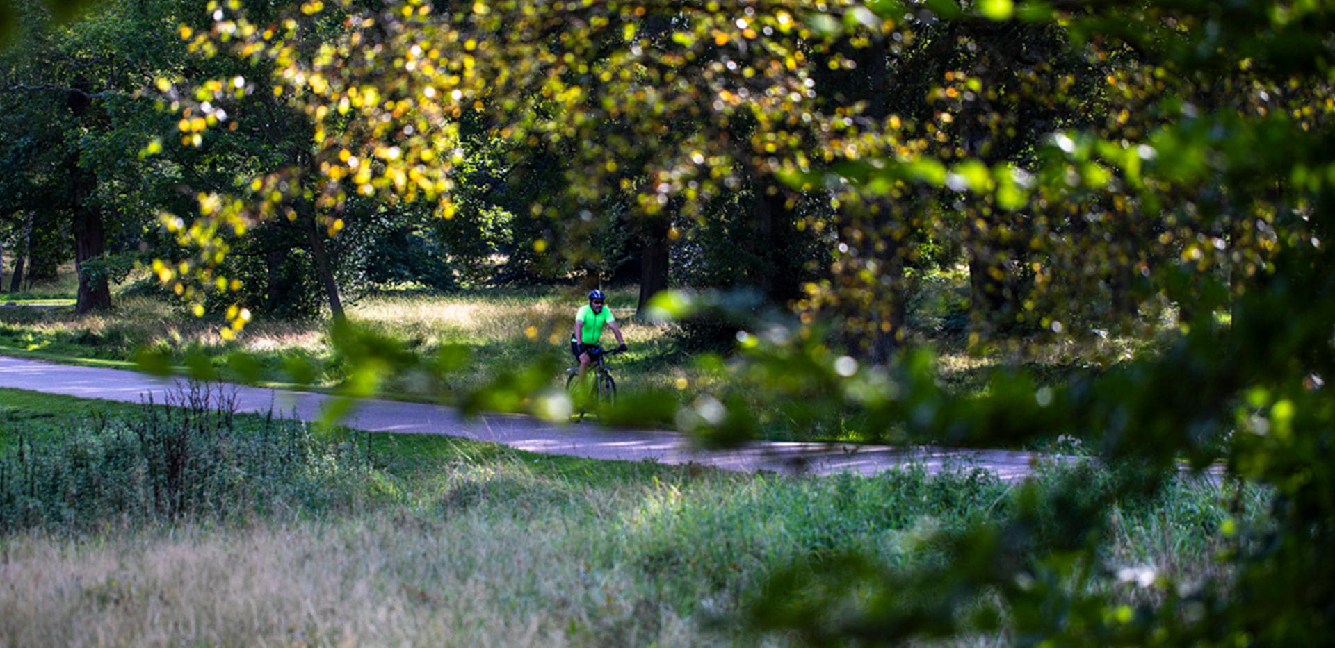 St William, Sunninghill Square, Local Area