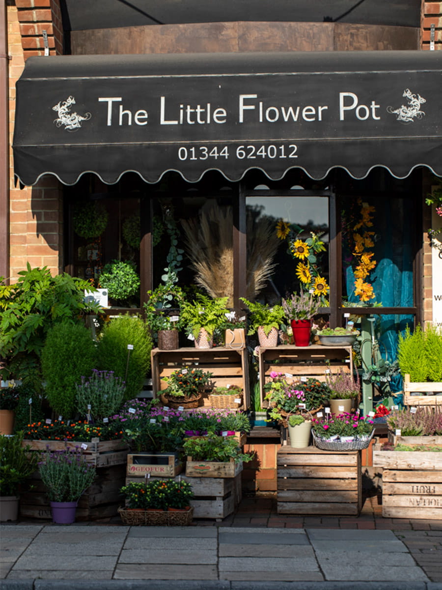 St William, Sunninghill Square, Local Area