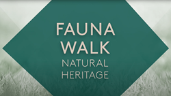 The Eight Gardens Fauna Walk Video