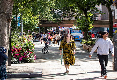 Pedestrians walking alongside tree lined street.