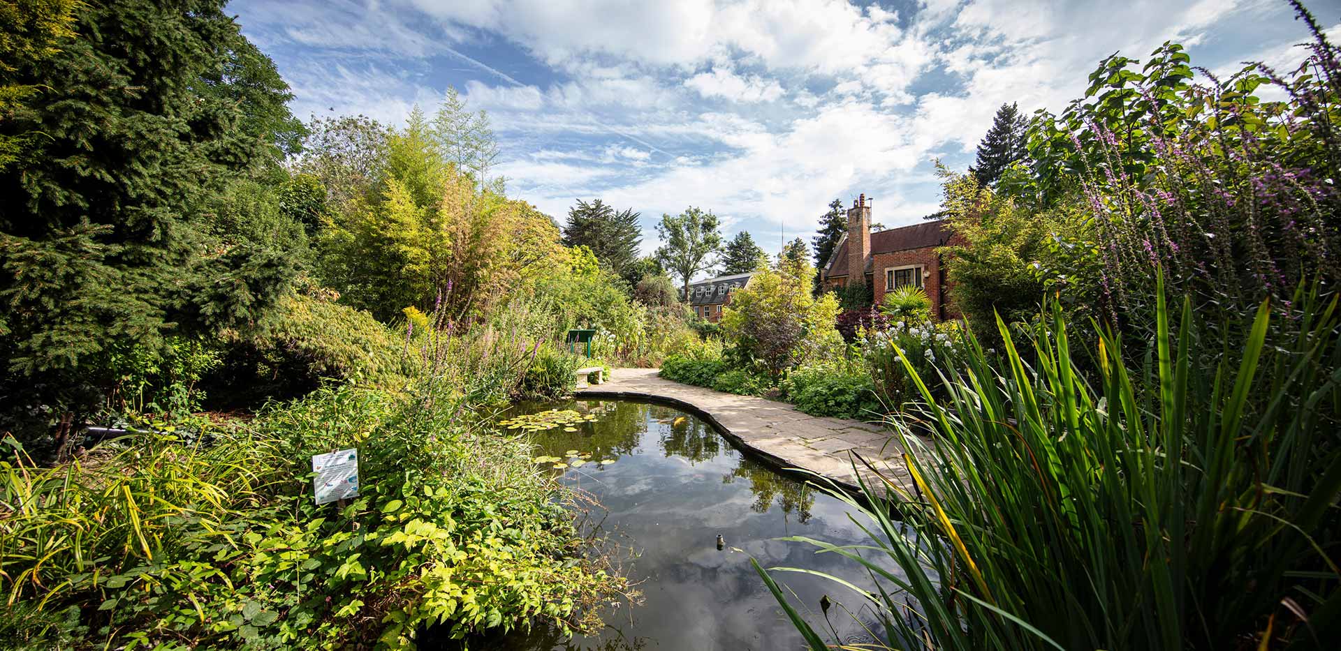 An image of lush green surroundings at The Exchange Watford